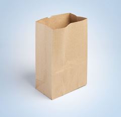 SACO DELIVERY Nº5 36X28 50UN