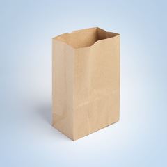 SACO DELIVERY Nº2 26X22 50UN