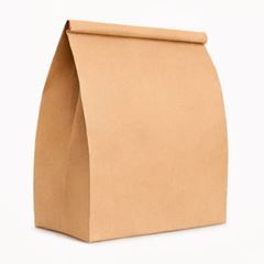 SACO DELIVERY KRAFT GG ECO LISO 50UN